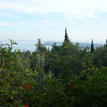 Ha Mar Ao Luar Hotel Setúbal Kültér fotó